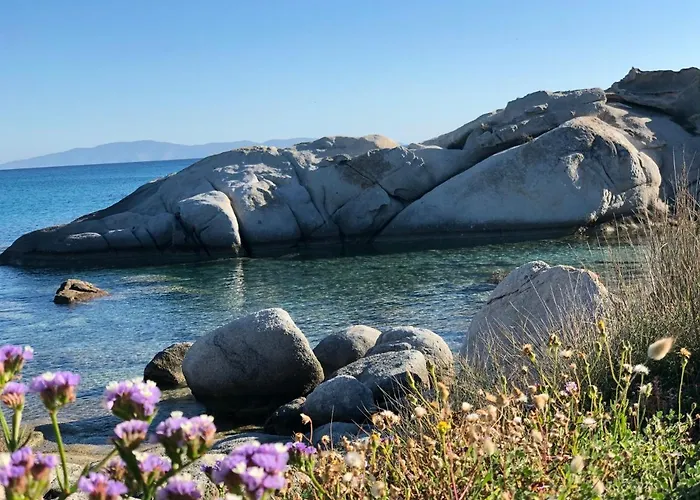 Naxian Wave Seaside מיקרי ויגלה