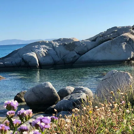 Naxian Wave Seaside Μικρή Βίγλα